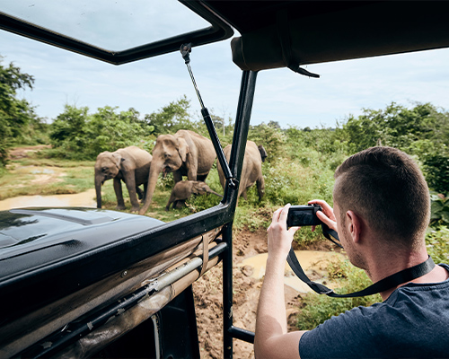 Udawalawe Safari 